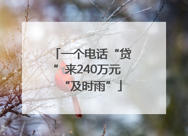 一个电话“贷”来240万元“及时雨”