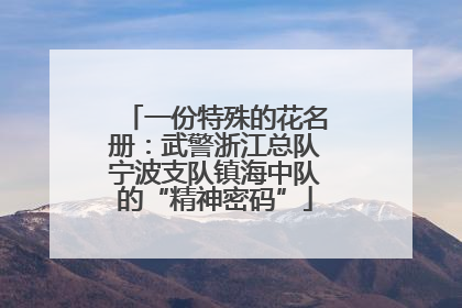 一份特殊的花名册：武警浙江总队宁波支队镇海中队的“精神密码”
