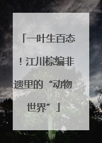 一叶生百态！江川棕编非遗里的“动物世界”