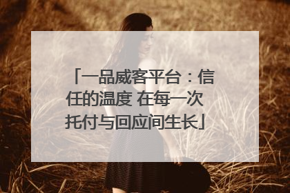 一品威客平台：信任的温度 在每一次托付与回应间生长