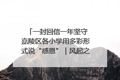 一封回信一年坚守 嘉陵区各小学用多彩形式说“感恩”｜风起之江 扶摇直上