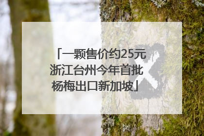 一颗售价约25元 浙江台州今年首批杨梅出口新加坡