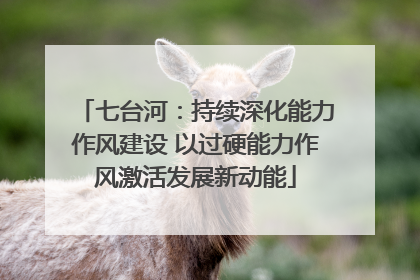 七台河：持续深化能力作风建设 以过硬能力作风激活发展新动能