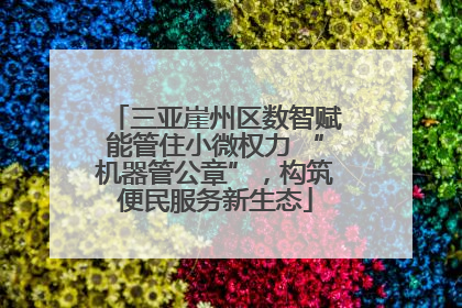 三亚崖州区数智赋能管住小微权力 “机器管公章”，构筑便民服务新生态