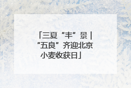 三夏“丰”景｜“五良”齐迎北京小麦收获日