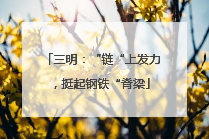 三明：“链“上发力，挺起钢铁“脊梁