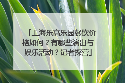 上海乐高乐园餐饮价格如何？有哪些演出与娱乐活动？记者探营