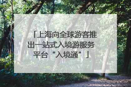 上海向全球游客推出一站式入境游服务平台“入境通”
