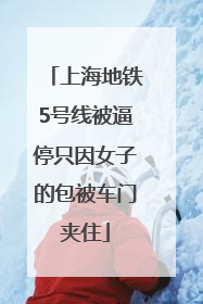 上海地铁5号线被逼停只因女子的包被车门夹住