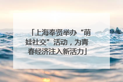 上海奉贤举办“萌娃社交”活动，为青春经济注入新活力
