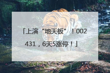 上演“地天板”！002431，6天5涨停！