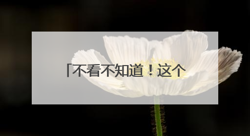 不看不知道！这个暑假，大家把钱花在威海这些地方了
