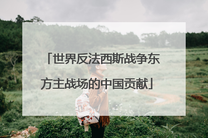 世界反法西斯战争东方主战场的中国贡献