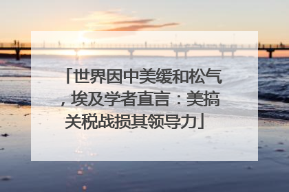 世界因中美缓和松气，埃及学者直言：美搞关税战损其领导力