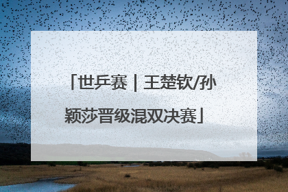 世乒赛｜王楚钦/孙颖莎晋级混双决赛