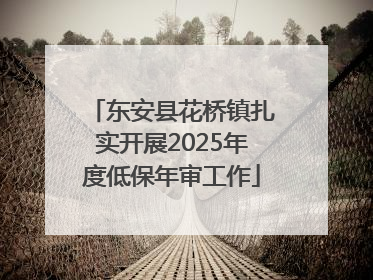 东安县花桥镇扎实开展2025年度低保年审工作