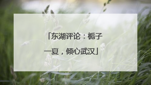东湖评论：栀子一夏，倾心武汉