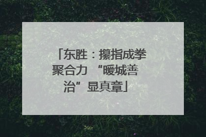 东胜：攥指成拳聚合力 “暖城善治”显真章