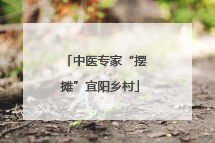 中医专家“摆摊”宜阳乡村
