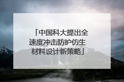中国科大提出全速度冲击防护仿生材料设计新策略