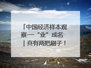 中国经济样本观察·一“业”成名｜真有两把刷子！“刷”出30亿级“颜值经济”
