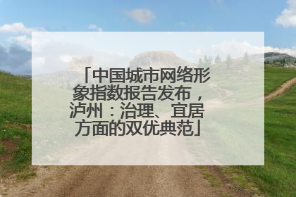 中国城市网络形象指数报告发布，泸州：治理、宜居方面的双优典范