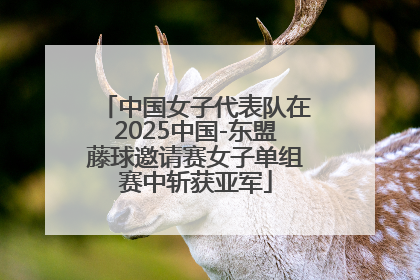 中国女子代表队在2025中国-东盟藤球邀请赛女子单组赛中斩获亚军