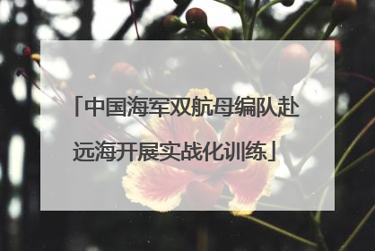 中国海军双航母编队赴远海开展实战化训练