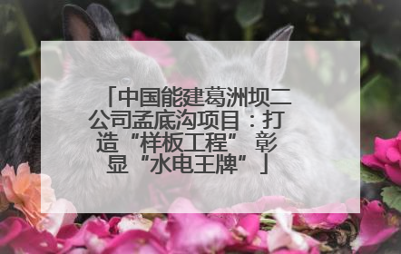 中国能建葛洲坝二公司孟底沟项目：打造“样板工程” 彰显“水电王牌”