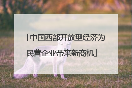 中国西部开放型经济为民营企业带来新商机