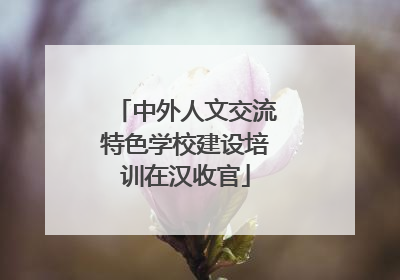 中外人文交流特色学校建设培训在汉收官
