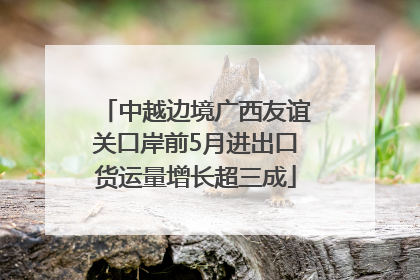 中越边境广西友谊关口岸前5月进出口货运量增长超三成