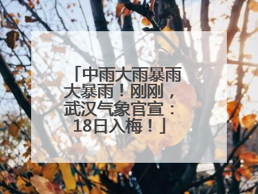 中雨大雨暴雨大暴雨！刚刚，武汉气象官宣：18日入梅！