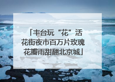 丰台玩“花”活 花街夜市百万片玫瑰花瓣雨甜翻北京城
