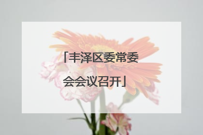 丰泽区委常委会会议召开
