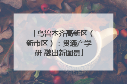 乌鲁木齐高新区（新市区）：贯通产学研 融出新图景