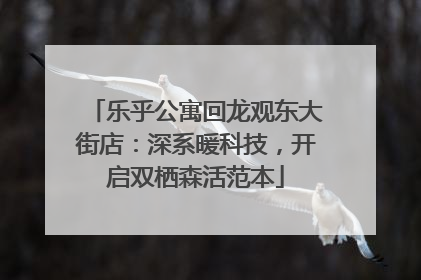 乐乎公寓回龙观东大街店：深系暖科技，开启双栖森活范本