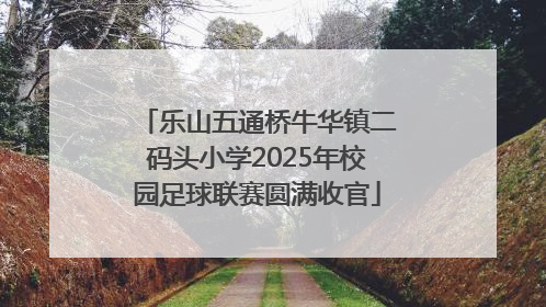 乐山五通桥牛华镇二码头小学2025年校园足球联赛圆满收官