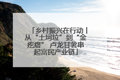 乡村振兴在行动丨从“土坷垃”到“金疙瘩” 卢龙甘薯串起富民产业链