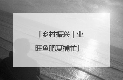 乡村振兴｜业旺鱼肥夏捕忙