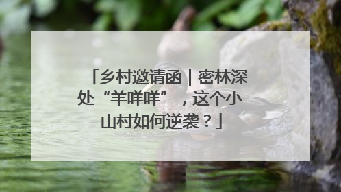 乡村邀请函｜密林深处“羊咩咩”，这个小山村如何逆袭？