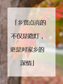 乡贤点亮的不仅是路灯，更是对家乡的深情