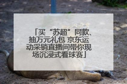 买“苏超”同款、抽万元礼包 京东运动采销直播间带你现场沉浸式看球赛