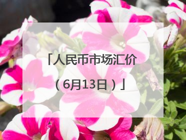 人民币市场汇价（6月13日）