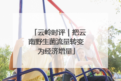 云岭时评｜把云南野生菌流量转变为经济增量