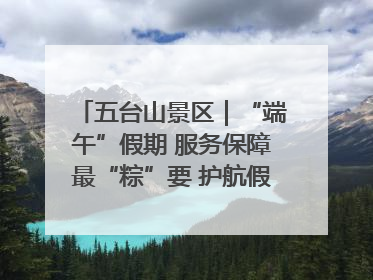 五台山景区｜“端午”假期 服务保障最“粽”要 护航假期“不打烊”