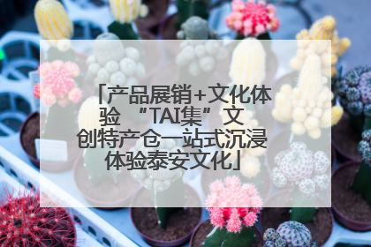 产品展销+文化体验 “TAI集”文创特产仓一站式沉浸体验泰安文化