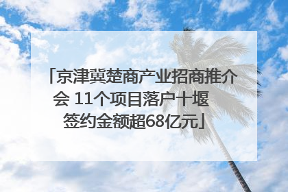 京津冀楚商产业招商推介会 11个项目落户十堰 签约金额超68亿元