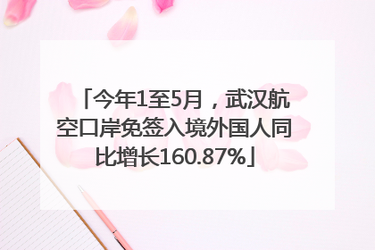 今年1至5月，武汉航空口岸免签入境外国人同比增长160.87%