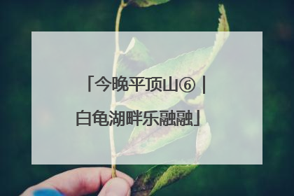 今晚平顶山⑥｜白龟湖畔乐融融